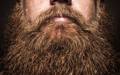 Regaine Bartwuchsmittel Test: Die 5 Besten im Vergleich